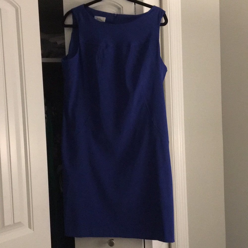 Dress.  Royal blue below knee length